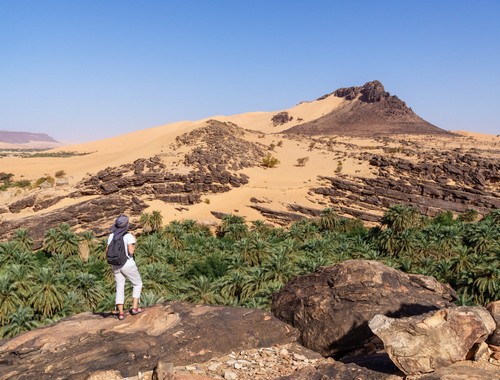 Les oasis du Tagant et de l’Adrar à protéger contre la dégradation et les effets du changement climatique