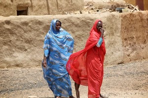 Humanitaire-Nutrition : Reconnaître la question du genre dans la lutte contre la malnutrition