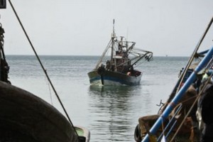 Sahara occidental : l’UE prête à négocier un nouvel accord de pêche avec le Maroc