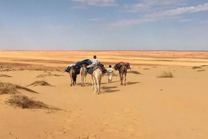 Odette du Puigaudeau et Marion Sénones, aventurières des sables