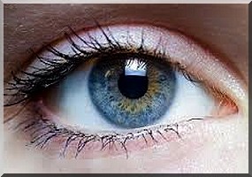 Un logiciel pour piloter son mobile ou sa tablette avec les yeux - [Vidéo]