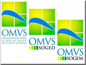 L’OMSV offre 200 000 moustiquaires imprégnées à la Mauritanie