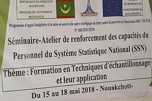 UE| AFRISTAT | ONS ● Formation du personnel du SSN en techniques d’échantillonnage et leur application