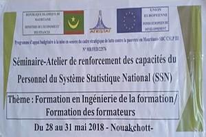 ONS/UE/Afrisat- Formation du personnel du SSN en ingénierie de la formation/ Formation des formateurs