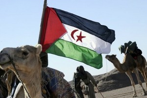 Sahara occidental : à Genève, l'ONU se penche sur l'une des régions les plus disputées du monde