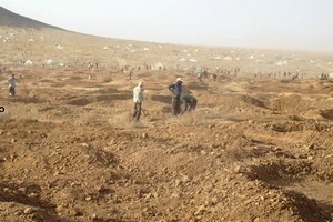 Au Nord-Est de Benichab : un désastre écologique se développe lentement mais inexorablement