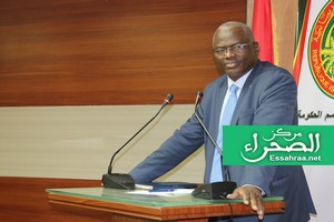 Ould Salem : les différends au sein des partis sont des faits naturels