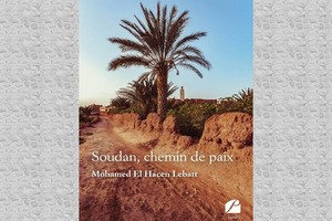 Soudan : L’histoire palpitante d’une médiation / Par Ahmed-Salem Tah