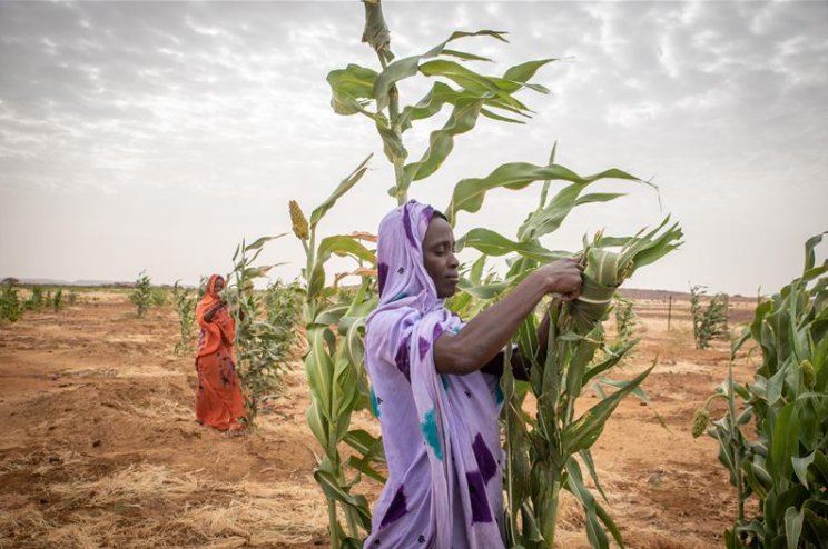 La réplique contre la crise climatique, c’est notre affaire !