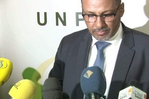 Mauritanie : le patronat dément l’existence de riz plastique sur le marché national