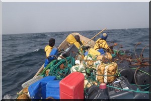 Mauritanie-Sénégal : des patrouilles communes pour empêcher la pêche illégale 