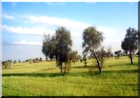 Quand l'écotourisme change la vie des villages mauritaniens.