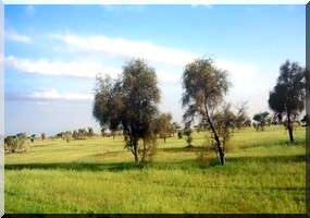 Quand l'écotourisme change la vie des villages mauritaniens. 