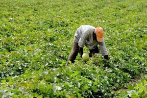 Atar : l’agriculture au cœur des débats