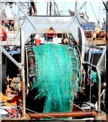 La pêche industrielle de fond interdite dans les eaux mauritaniennes. 