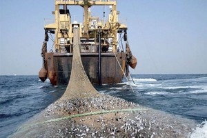 Mauritanie-UE : réunion autour du renouvellement de l’accord de pêche