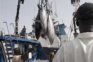 Greenpeace Afrique pour une solution définitive à la situation de la pêche entre le Sénégal et la Mauritanie