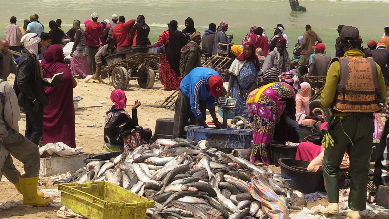 Pêche artisanale en Mauritanie: les quelques améliorations ne font pas oublier les grands problèmes