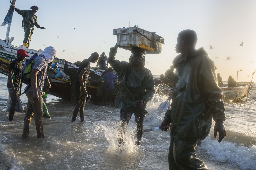 Mauritanie : la fin de l’arrêt biologique fixé au 30 juin 