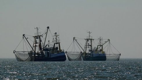 La Mauritanie et l’Union Européenne discutent de l’accord de pêche