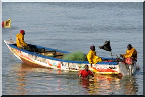 Pour une nouvelle stratégie des pêches en Mauritanie