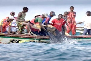 Mauritanie: les pêcheurs artisanaux en grève 
