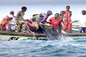 Mauritanie: les pêcheurs artisanaux en grève
