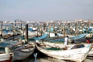 Nouadhibou : les pêcheurs artisanaux demandent au Président de la République