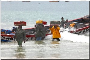 Vers quoi rêve dans le rêve la pêche