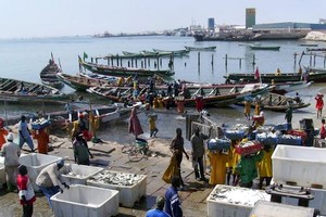 Reportage. La Mauritanie dans les filets chinois