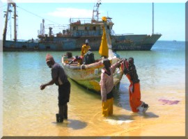 Pêche : Des bateaux européens interdits  en Mauritanie. 