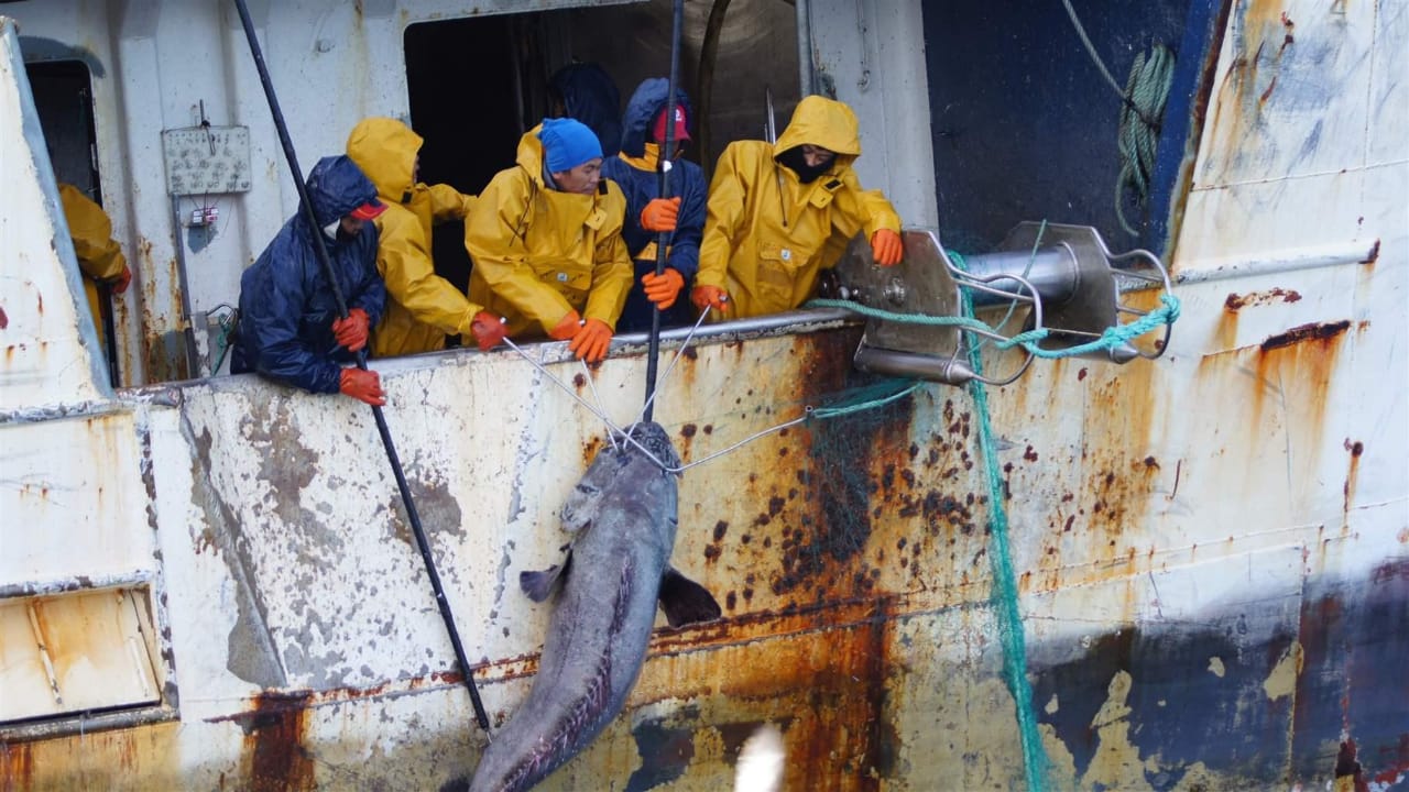 L'accord sur la pêche UE-Maroc en eaux troubles