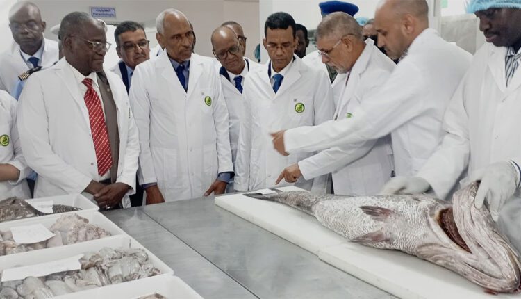Transparence dans le secteur de la pêche : la Mauritanie au deuxième rang mondial des pays ayant satisfait à la norme 