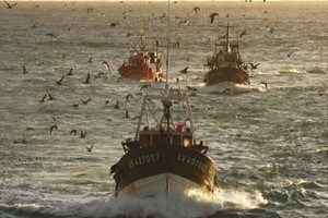 Négociations mauritano-chinoises pour le renouvellement de leur accord de pêche