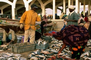 Immatriculation obligatoire pour les embarcations des pêcheurs artisanaux mauritaniens