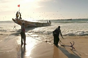 Mauritanie : deux navires russes arraisonnés pour surpêche