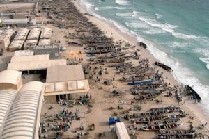 Mauritanie: les pêcheurs artisanaux bénéficient désormais d'une assurance maladie