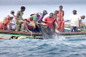 Saint-Louis: pêcheurs et mareyeurs disent non aux importations de poisson en provenance de la Mauritanie