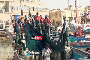 Saint-Louis: 4 pêcheurs arrêtés dans les eaux mauritaniennes et déférés à Rosso 