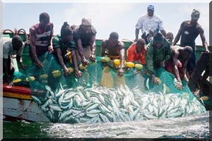 Le ministre sénégalais des pêches dément l’expulsion de Nouakchott des pêcheurs de Guet-Ndar