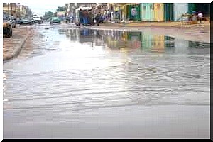 Ces gens-là : Les surdoués s’attaquent aux eaux de pluie !