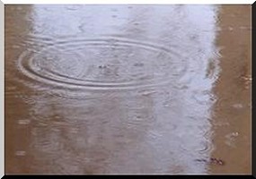 Boghé : De fortes pluies avec d’importants dégâts.  