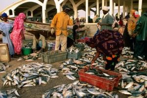 Sénégal et Mauritanie: l’accord sur la pêche pas encore finalisé