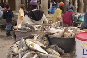 Nouakchott : Absence d'hygiène dans les marchés de vente de poisson