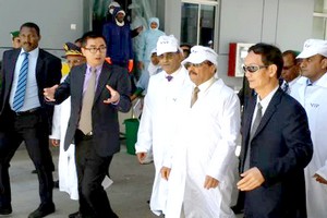 Mauritanie- Pêche- Poly Hong Dong: Quand le «essentiellement pélagique » devient effectivement poulpe !
