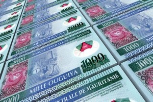 Mauritanie: les prestataires de transfert de fonds rappelés à l'ordre