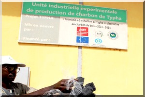 Bioénergie/Mauritanie: les vertus du charbon de typha
