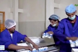 Le wali du Hodh Chargui visite la société mauritanienne des produits laitiers à Néma