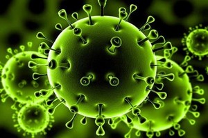L'OMS s'inquiète de la propagation du coronavirus en Afrique