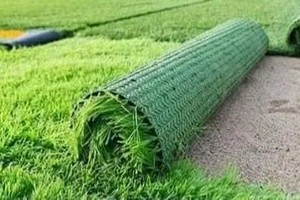 Mauritanie : la fondation SNIM lance la réfection de la pelouse de Cansado